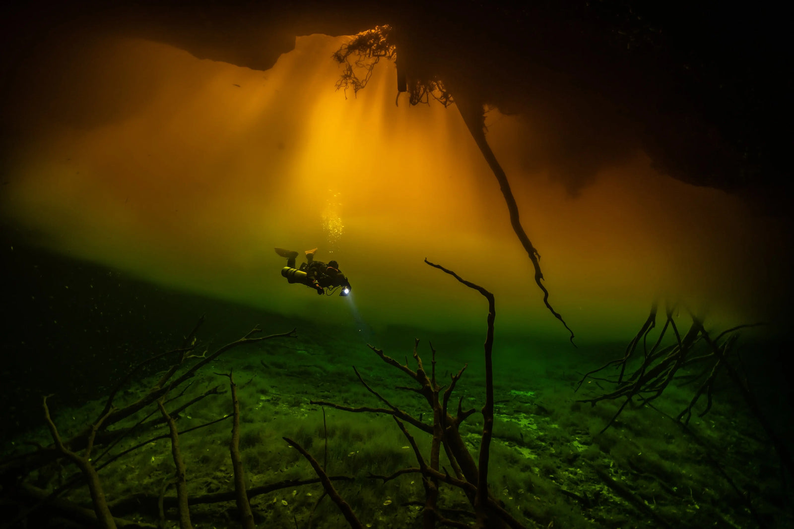 Diving instructor Said el Soueidi with a LED SPELEO MKII exploring an underwater cave illuminated by golden light from above, with submerged branches and a greenish hue near the cave floor.